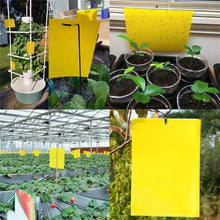 Load image into Gallery viewer, Two-sided Stickers Glue Fruit Fly Bug Killer Insects Yellow Hang Catcher Fly Trap