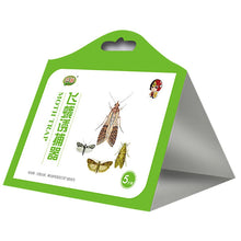 Load image into Gallery viewer, 5 Pack Cloth Pantry Food Moth Trap Pheromone Killer Paste Sticky Glue Trap Pest Reject Fly Insects