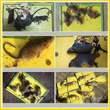 Load image into Gallery viewer, Mouse Board Sticky Mice Glue Trap High Effective Rodent Rat Snake Bugs Catcher