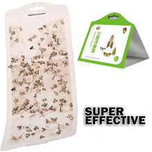 Load image into Gallery viewer, 5 Pack Cloth Pantry Food Moth Trap Pheromone Killer Paste Sticky Glue Trap Pest Reject Fly Insects