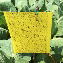 Load image into Gallery viewer, Two-sided Stickers Glue Fruit Fly Bug Killer Insects Yellow Hang Catcher Fly Trap
